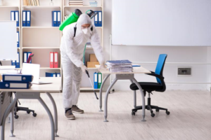 fumigaciones de oficinas